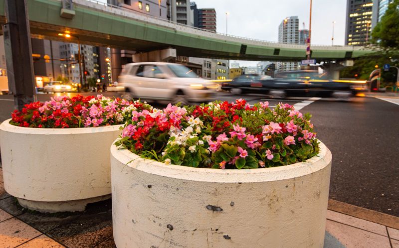 Large planters sit beside a busy street, blocking pedestrians from walking intro traffic.